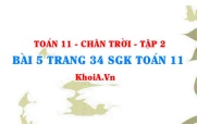 Bài 5 trang 34 Toán 11 Tập 2 Chân trời sáng tạo